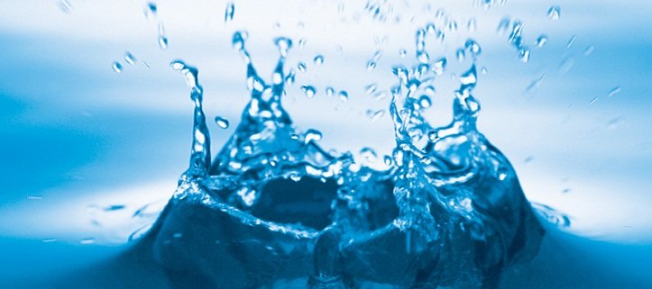 Trại hè giáo dục 2012 