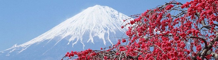 Giữ xanh môi trường, tìm hiểu 